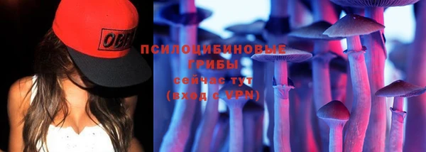 ешки Алзамай