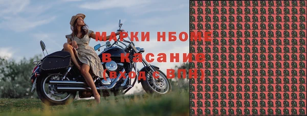 шишки Абинск