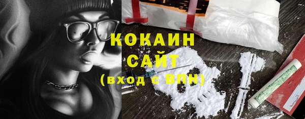 твердый Абаза