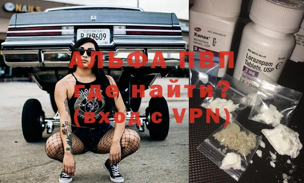 твердый Абаза